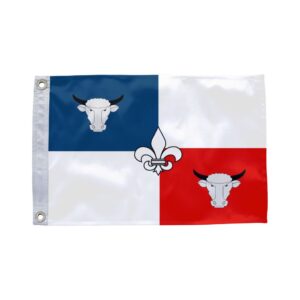 Bandeira de Itaju do Colônia BA