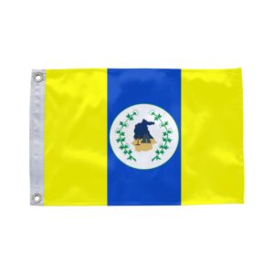 Bandeira de Itapipoca CE