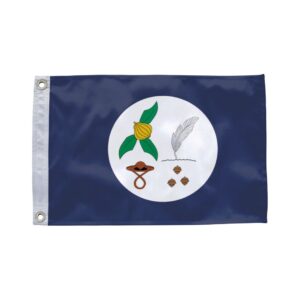 Bandeira de Itapitanga BA