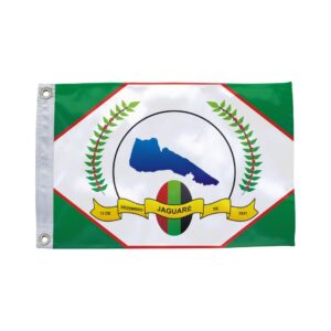 Bandeira de Jaguaré ES