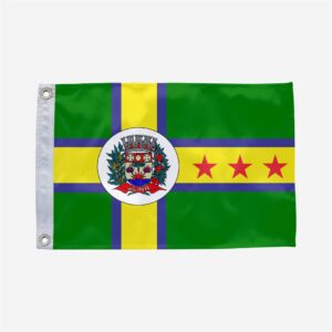 Bandeira de Juína MT