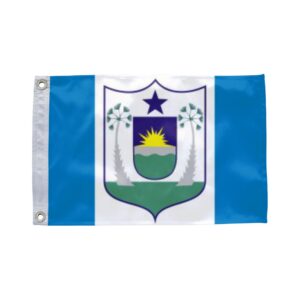 Bandeira de Limoeiro do Norte CE