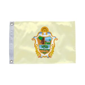 Bandeira de Manaus AM