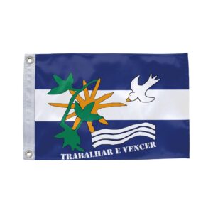 Bandeira de Muniz Ferreira BA