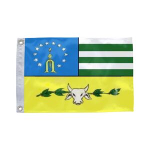Bandeira de Nova Itarana BA