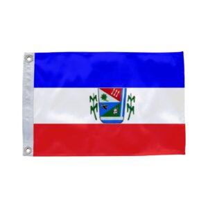 Bandeira de Nova Redenção BA