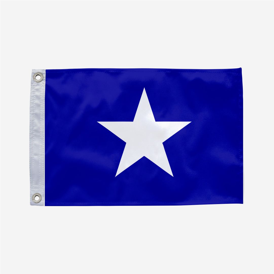 Bandeira de Nova Xavantina MT