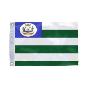 Bandeira de Novo Brasil GO