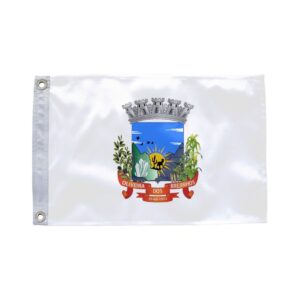 Bandeira de Oliveira dos Brejinhos BA