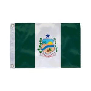 Bandeira de Palhano CE