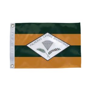 Bandeira de Palmeiras BA