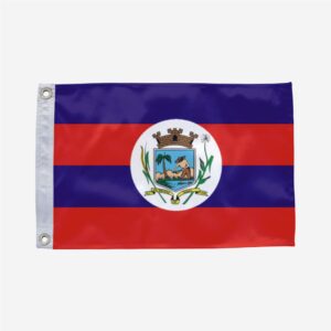 Bandeira de Palmeiras de Goiás GO