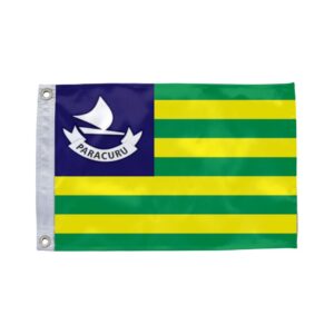 Bandeira de Paracuru CE