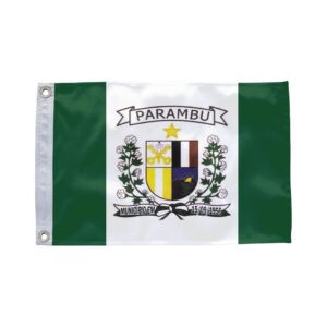 Bandeira de Parambu CE