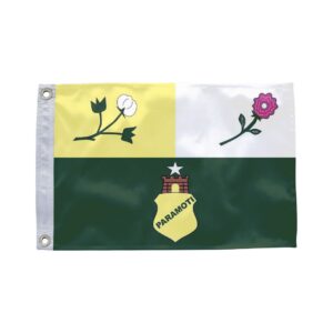 Bandeira de Paramoti CE