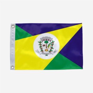 Bandeira de Paranaíta MT