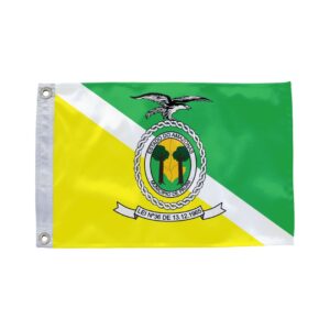 Bandeira de Pauini AM