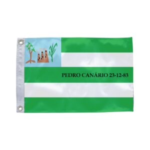 Bandeira de Pedro Canário ES