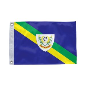 Bandeira de Petrolina de Goiás GO