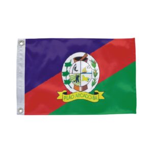 Bandeira de Pilão Arcado BA