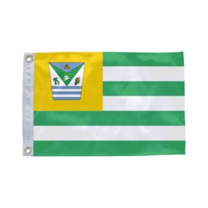 Bandeira de Pintadas BA