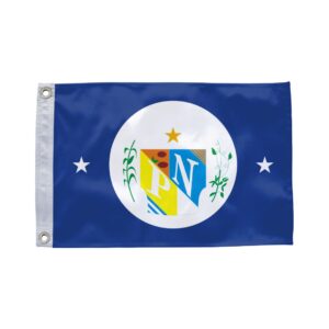 Bandeira de Ponto Novo BA