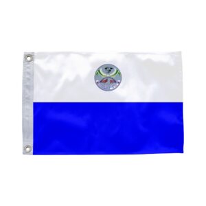 Bandeira de Porteirão GO