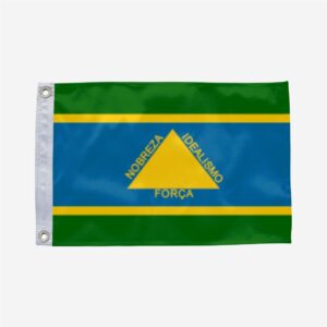 Bandeira de Posse GO