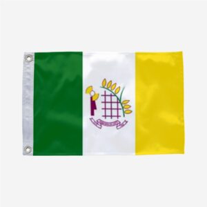 Bandeira de Primavera do Leste MT