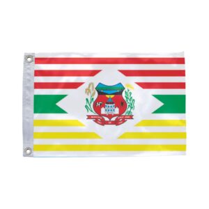 Bandeira de Professor Jamil GO