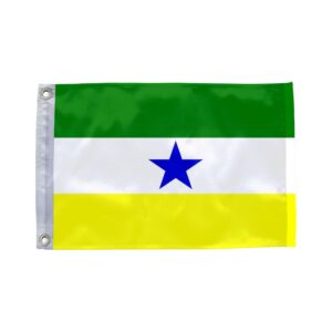 Bandeira de Rodrigues Alves AC