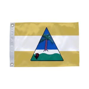 Bandeira de Salinas da Margarida BA