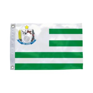 Bandeira de Santa Carmem MT