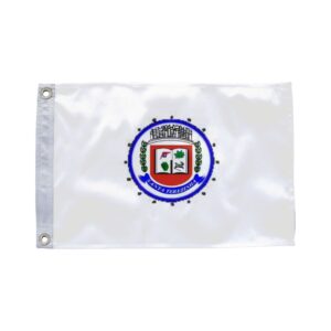 Bandeira de Santa Teresinha BA
