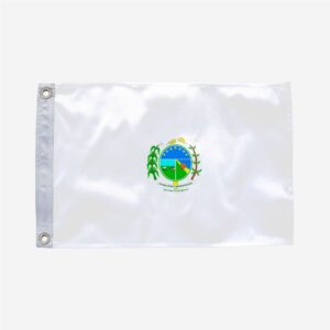 Bandeira de São Francisco do Brejão MA