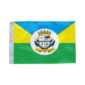 Bandeira de São João da Paraúna GO
