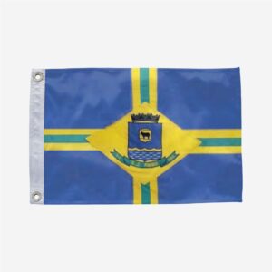 Bandeira de São João do Paraíso MA