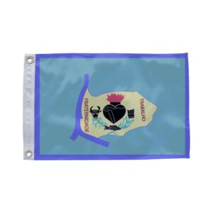 Bandeira de São Miguel do Araguaia GO