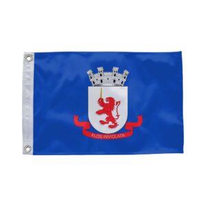 Bandeira de Sapeaçu BA