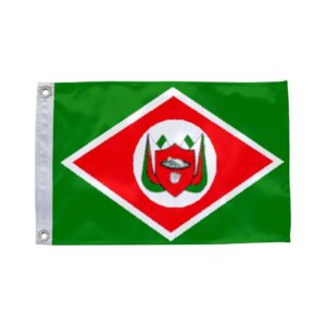 Bandeira de Silves AM
