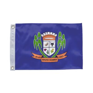 Bandeira de Souto Soares BA
