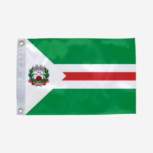 Bandeira de Tangará da Serra MT