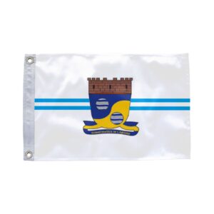 Bandeira de Tanquinho BA