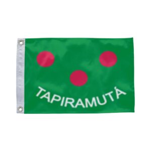 Bandeira de Tapiramutá BA