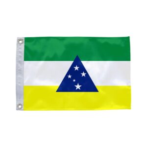 Bandeira de Tefé AM
