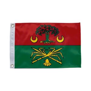 Bandeira de Terra Nova BA