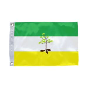 Bandeira de Uarini AM