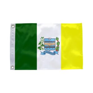 Bandeira de Vianópolis GO